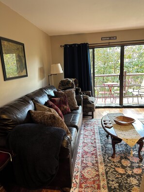 Smart TV, fireplace, table tennis, video library