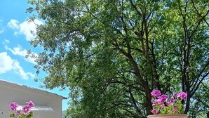 Un muro de piedra con una reja metálica, un edificio blanco y un árbol con flores rosadas al fondo.