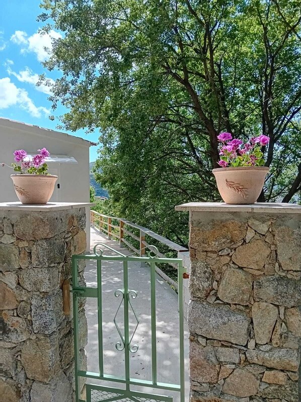 Property grounds - Quiet, detached house, sleeps 3 or 4 if baby, pets welcome (Nessa)