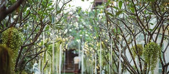 Bananaleaf Wedding Cafe & Resort