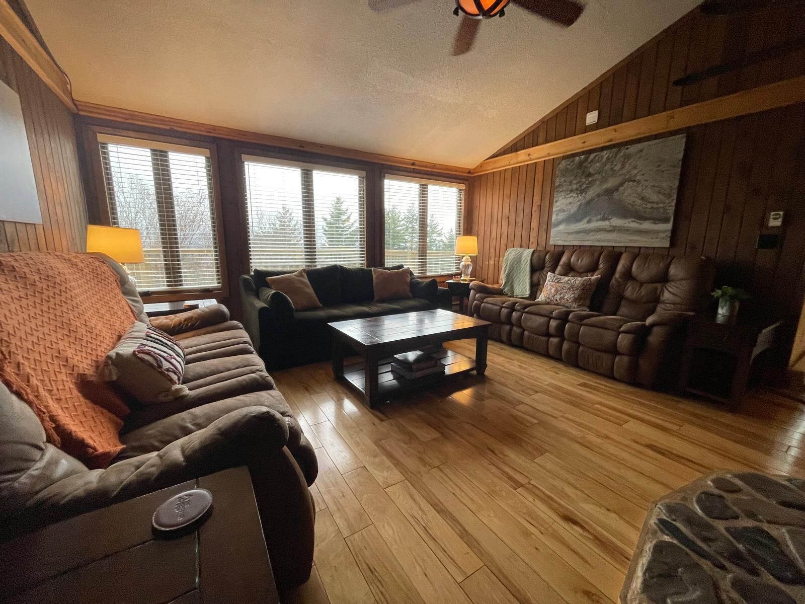 Smart TV, chimenea, reproductor de DVD y libros 