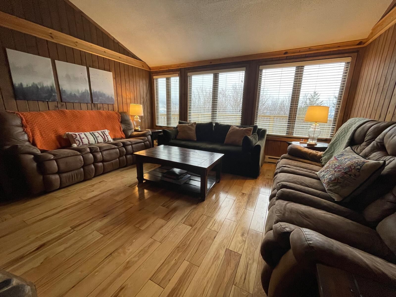 スマートテレビ、暖炉、DVD プレーヤー、書庫