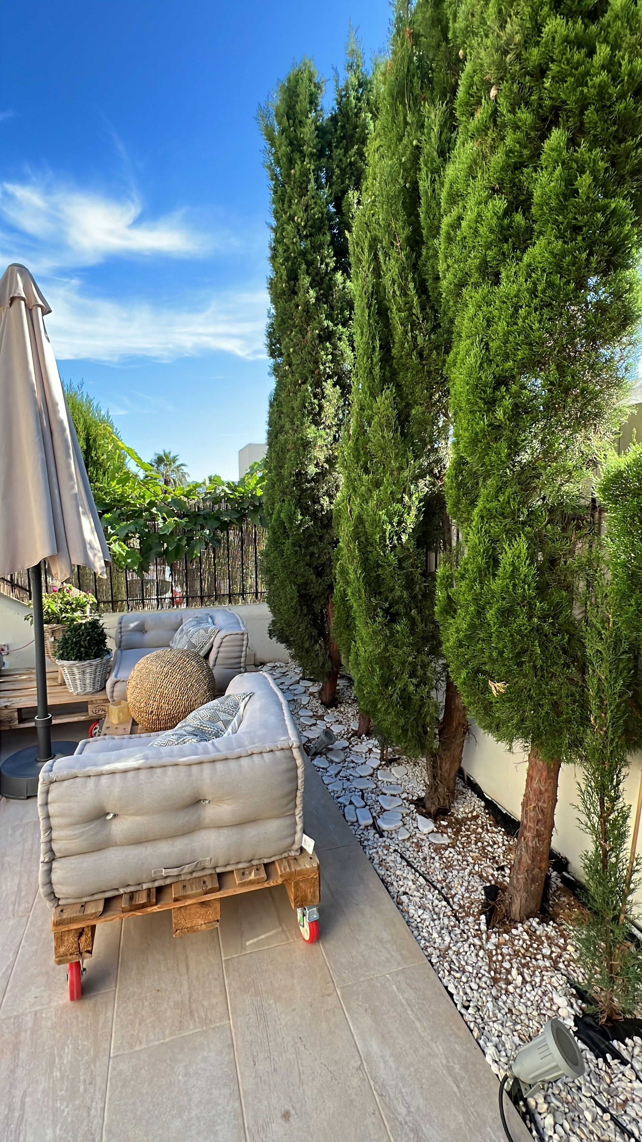 テラス / パティオ