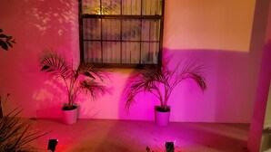 A room with a window, two potted plants, and a bench. - Spacious 5-Bdrm 4 bth pool home w/game room close to Theme Parks Spring Break (Kissimmee)
