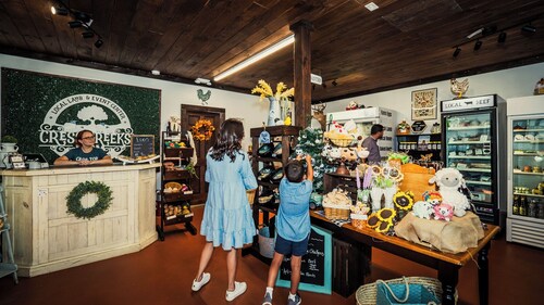 🐑 Ellijay Sheep farmhouse experience! Farm stay, explore, feed the animals