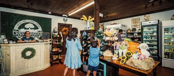 🐑 Ellijay Sheep farmhouse experience! Farm stay, explore, feed the animals