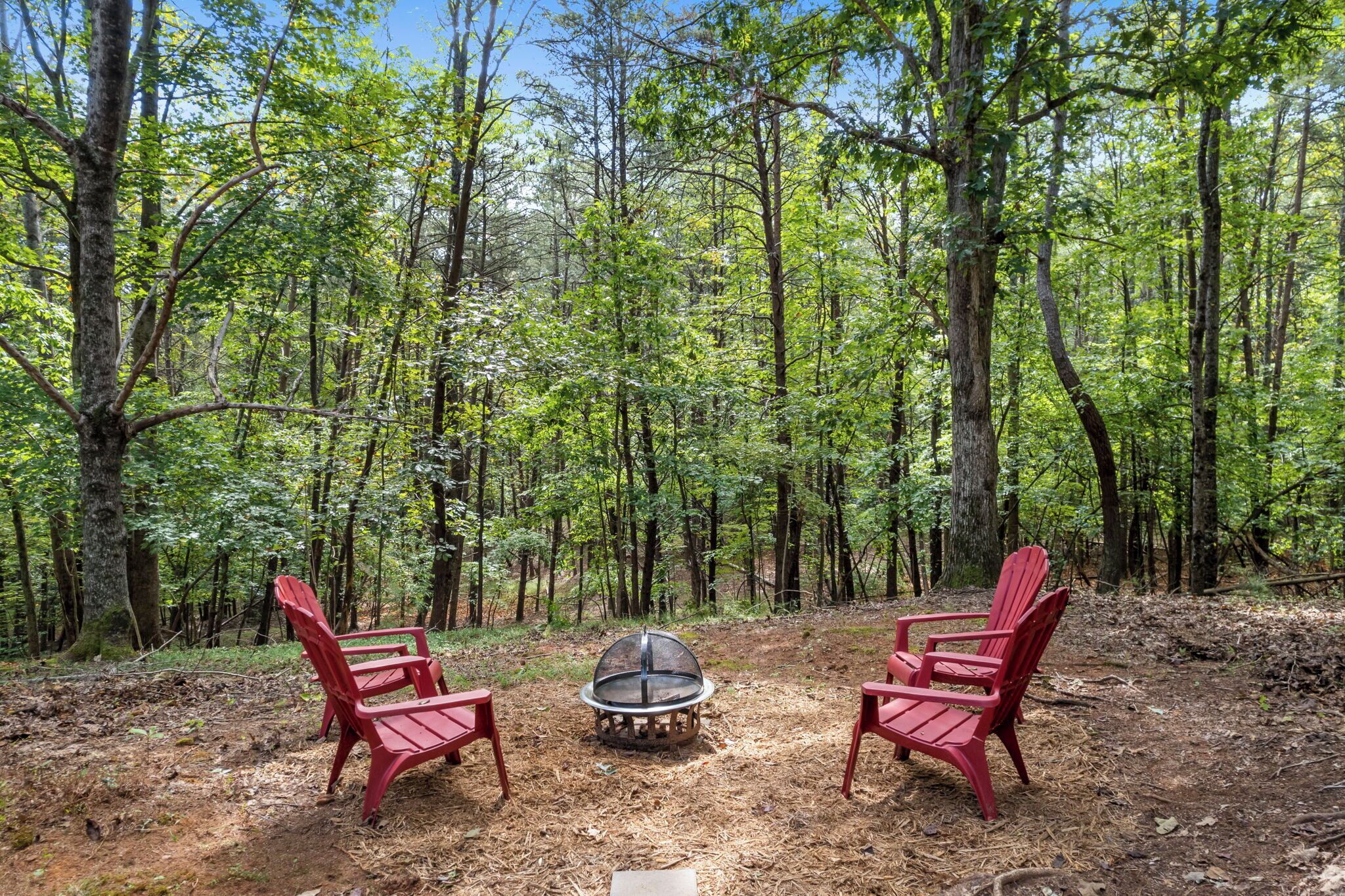 Rental in Rumbling Bald Lake Lure, NC  