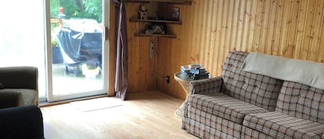 TV, caminetto, libri