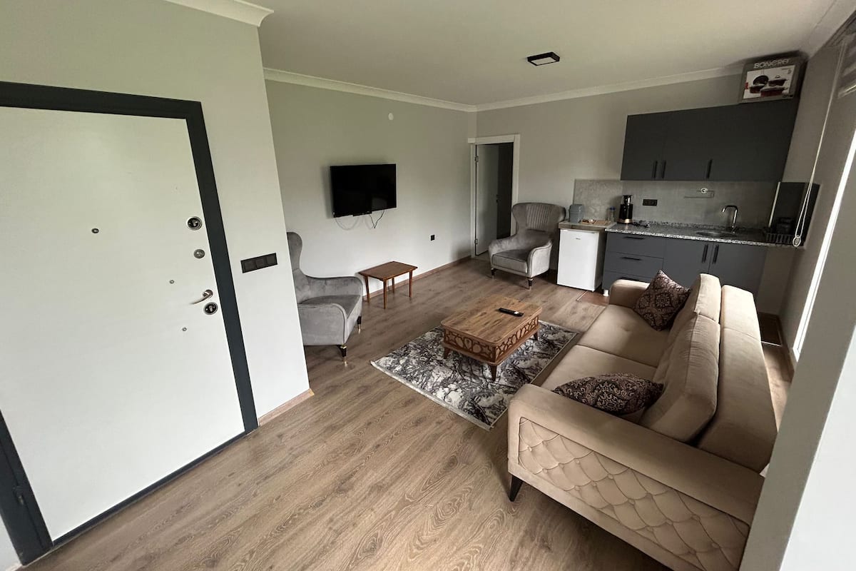 Un appartement moderne comprenant un salon, une cuisine et un coin repas.