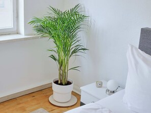 2 bedrooms, iron/ironing board, travel crib, free WiFi - Apartment DOM III - Erfurt Cathedral Square (Erfurt)