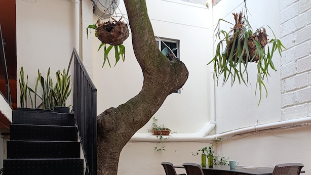 Un patio con una escalera, una mesa de comedor con sillas y plantas colgantes.