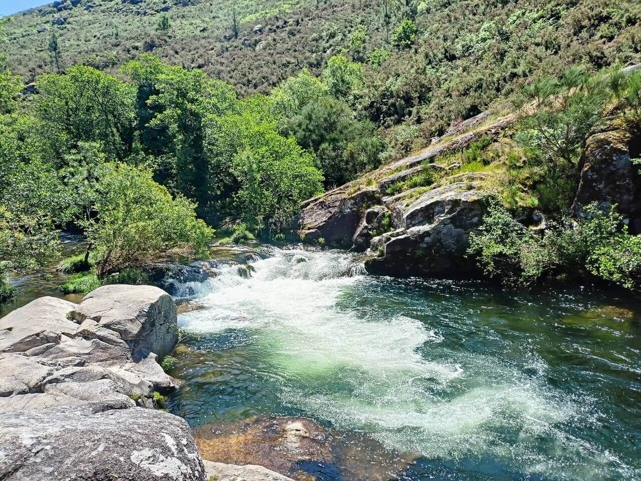 A river flowing through a rocky landscape with dense greenery.