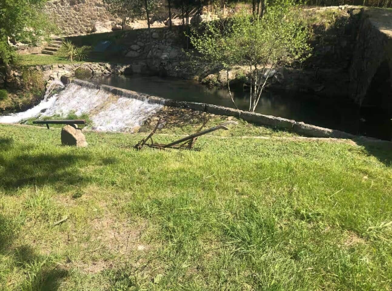 A grassy area with a small waterfall and a stone wall in the background.