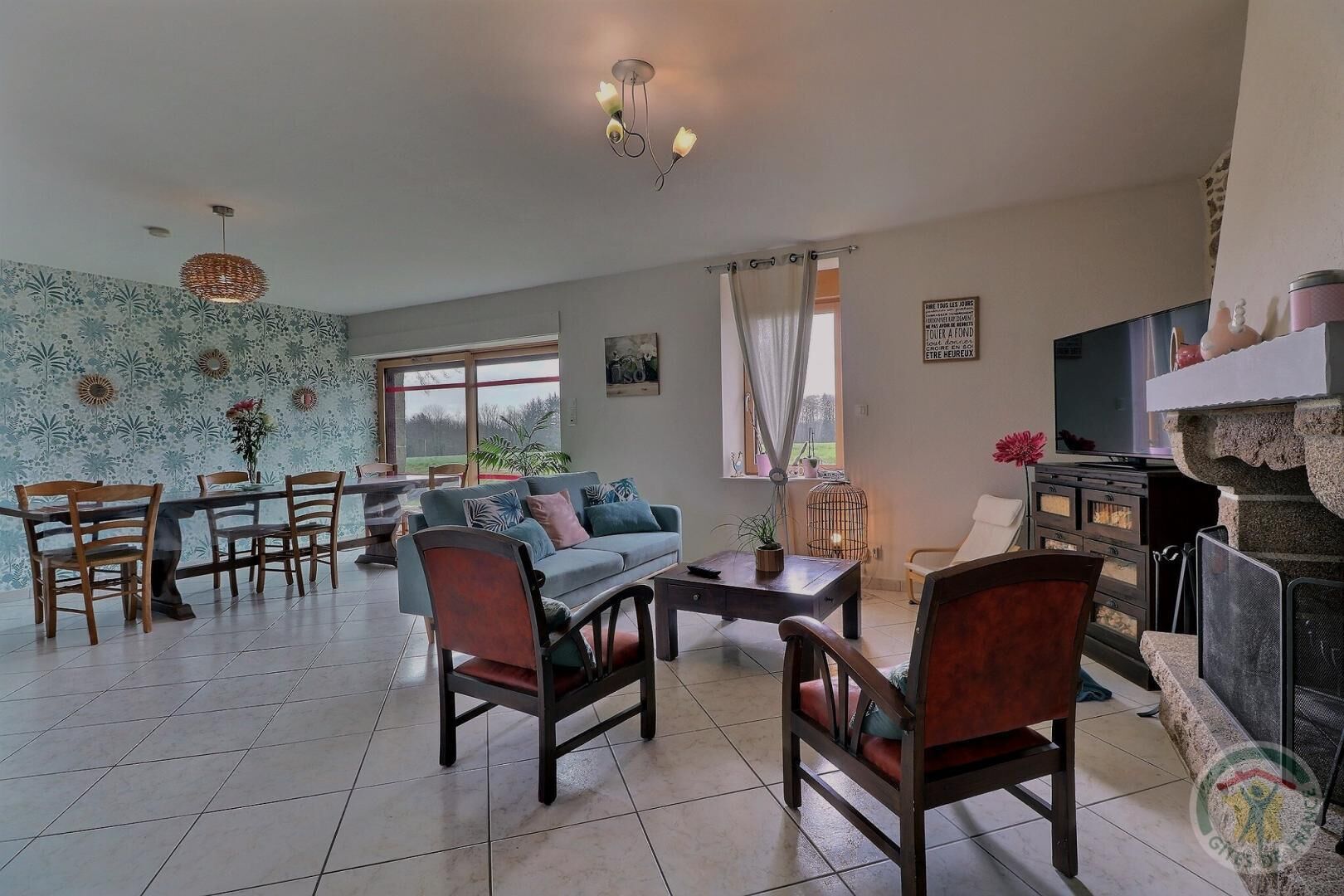 Télévision, cheminée, livres