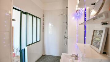 Shower, hair dryer, towels