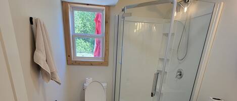 A bathroom with a glass shower enclosure, a toilet, a sink, and a window with a view of greenery.