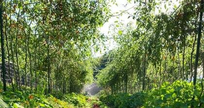 Farmers Friend on 175 Acre Farm: Peaceful Retreat