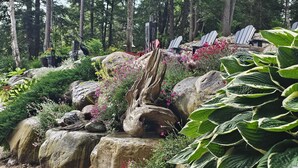 Un jardín con rocas grandes, diversas plantas y sillas Adirondack.