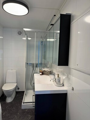 Regadera, toallas, jabón, papel de baño 