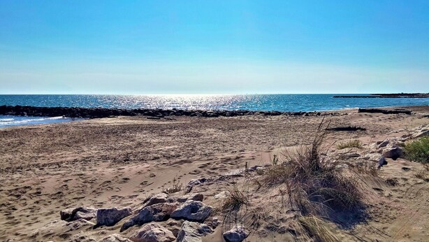 A sandy beach with scattered rocks and sparse vegetation.