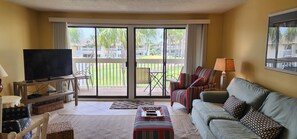 电视、DVD 播放器