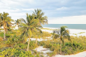 On the beach, sun loungers, beach towels