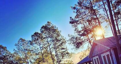 MID CENTURY TINY FOREST HOME CLOSE TO DISNEY WORLD