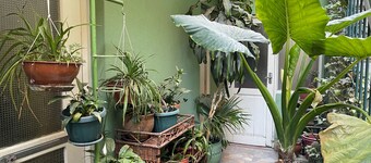 Spacious and comfortable room in the very center of the city