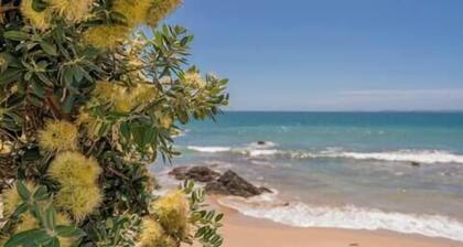 Hosts on the Coast Ataahua