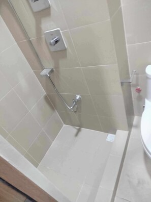 Shower area features a handheld showerhead and wall-mounted faucet, along with a control panel for temperature and flow adjustments.