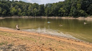 A river with a sandy bank and a forested hill in the background.