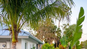 A residential property with a well-maintained garden, a palm tree, and a pathway leading to the house. - The Canary Palm | Fenced Private Backyard (Bonita Springs)
