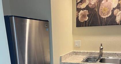 2B- Darling studio near U of O and Downtown