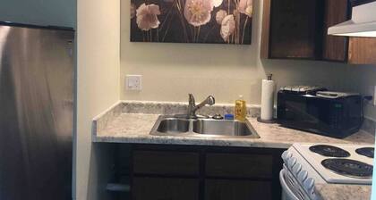 2B- Darling studio near U of O and Downtown