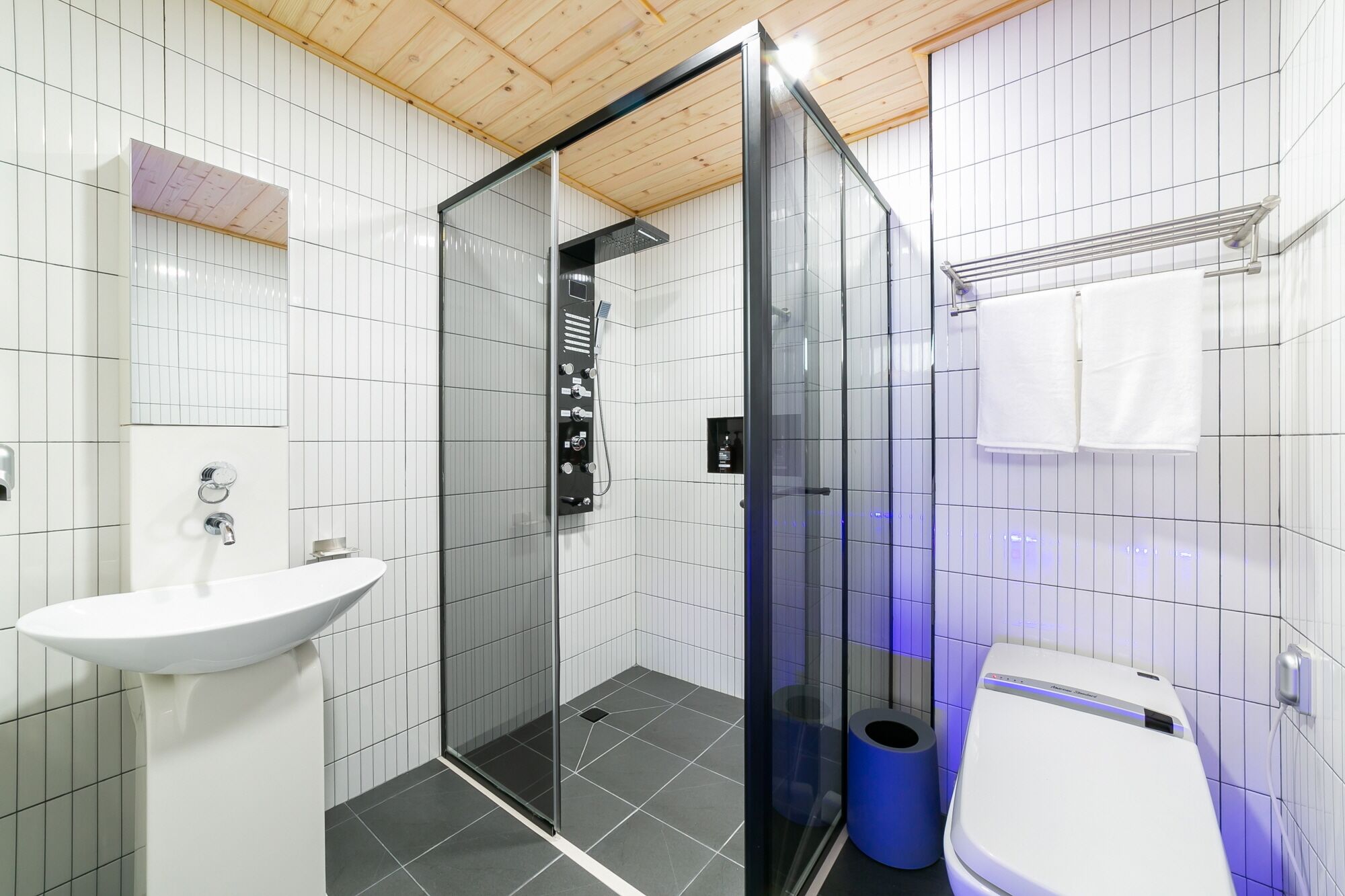 A modern bathroom with a glass shower enclosure, a white sink, and a toilet.
