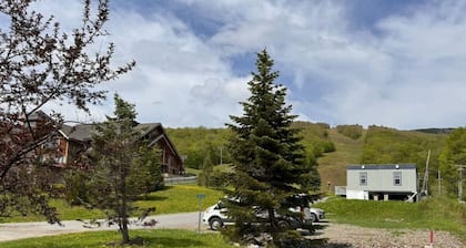 Hermitage premier ski-on/off.