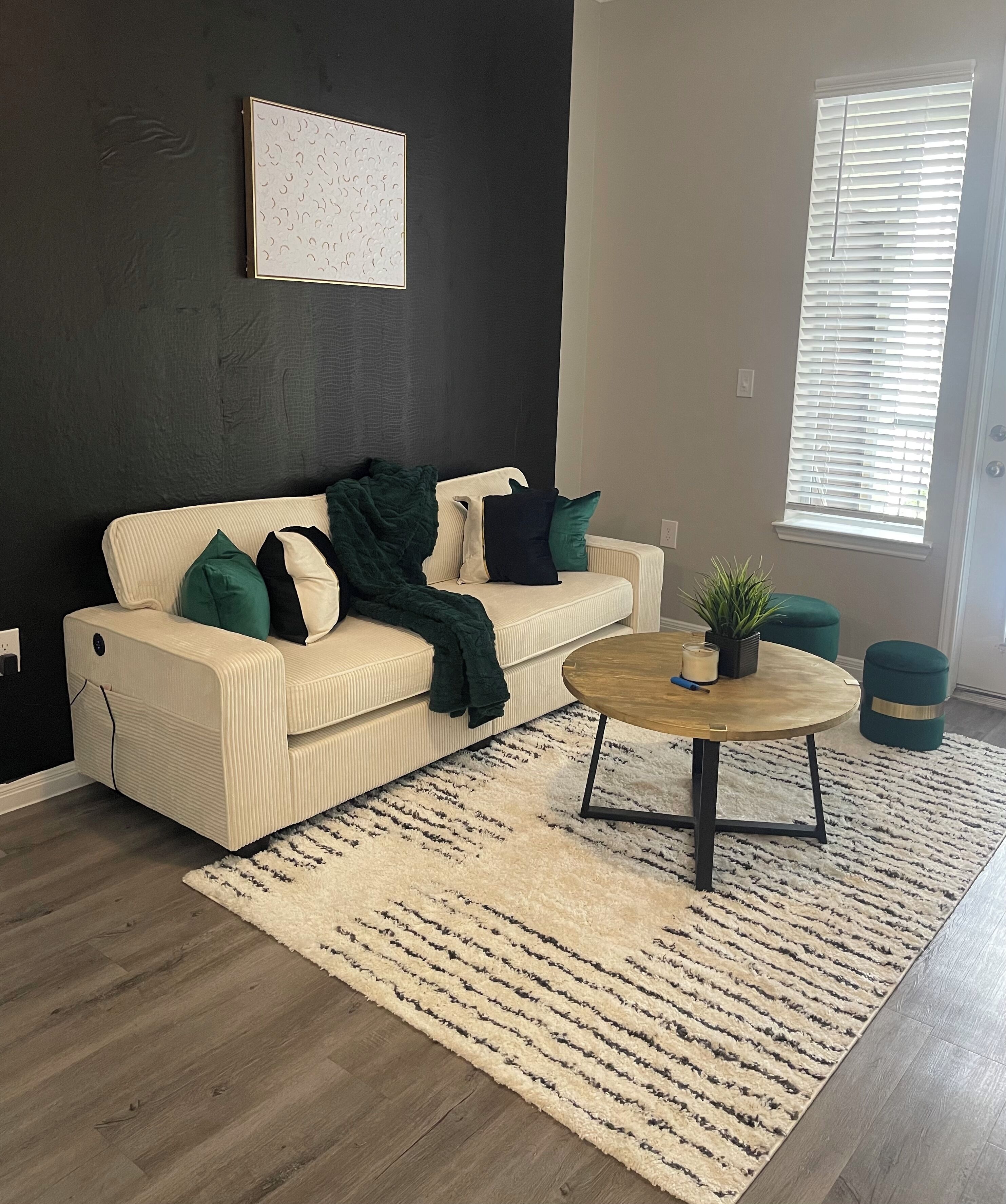 Emerald Gem N Midtown! 8 minutes from everything in downtown/midtown houston!