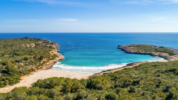 A coastal landscape with a beach, rocky cliffs, and dense vegetation.