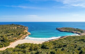 Un paisaje costero con playa, acantilados rocosos y vegetación densa.