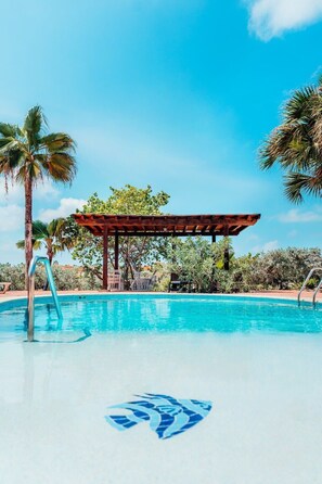 Pool - Luxurious House with Private Pool (Noord)