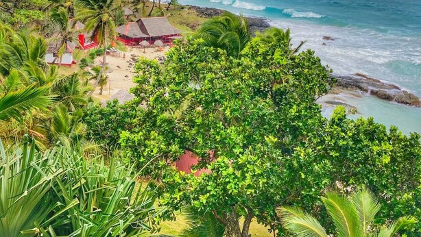 A beach with a red-roofed structure, palm trees, and ocean waves.