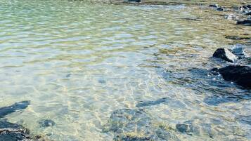 Una piscina al aire libre, sombrillas, sillones reclinables de piscina