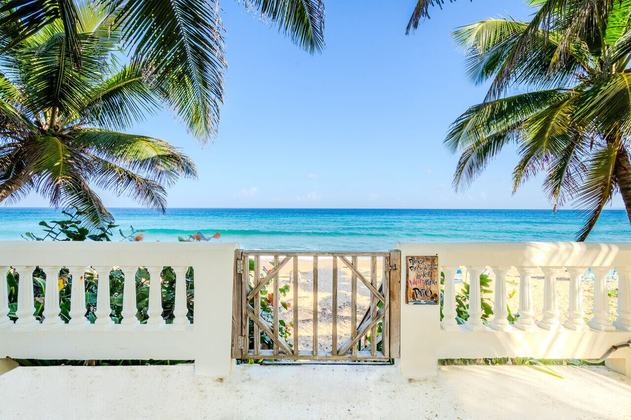 A beach view with a gate leading to the sand, surrounded by palm trees.