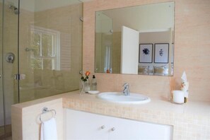 Un baño con cabina de ducha de vidrio, lavamanos y espejo.