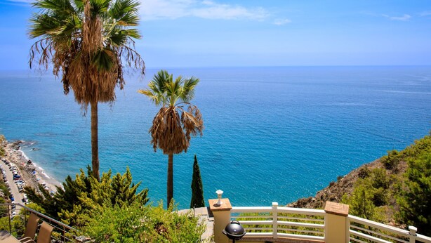 Une vue sur la côte, avec un ciel dégagé, des palmiers et une plage en arrière-plan.