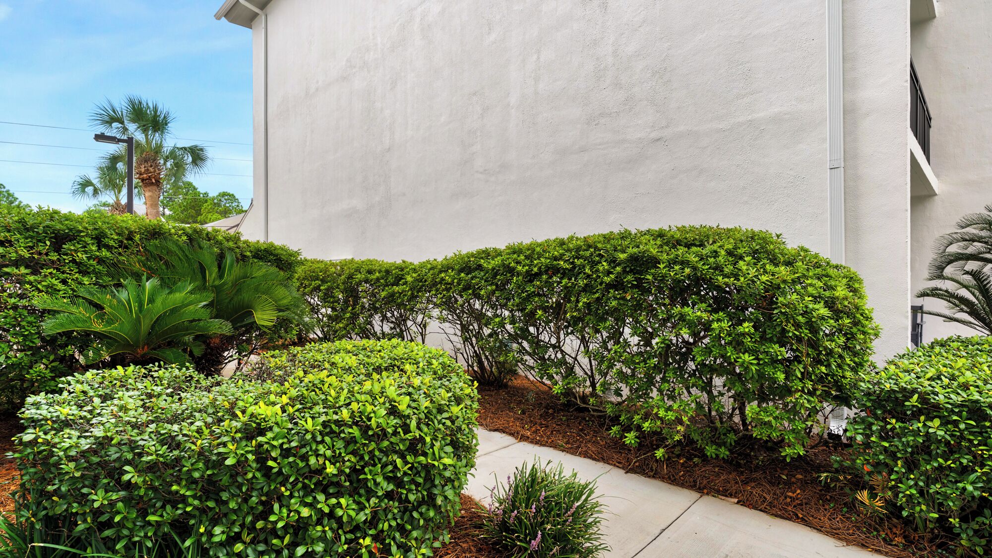 A building with a white exterior, surrounded by well-maintained hedges and a variety of tropical plants.