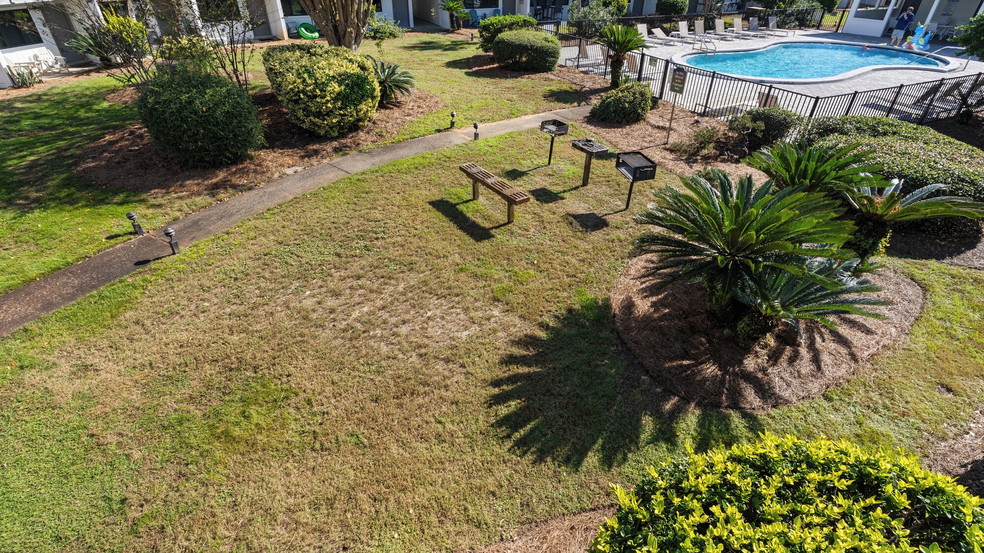 Un área ajardinada con piscina, un sendero para caminar y un pequeño jardín con una palmera.