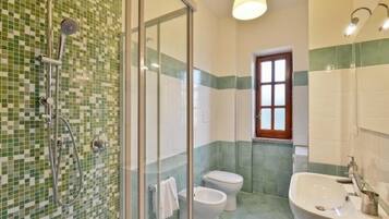 Shower, hair dryer, bidet, towels