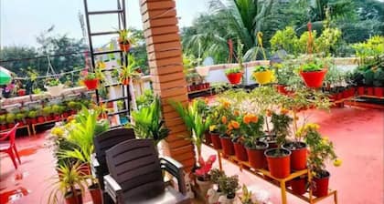 The Divine Home Stay, Pet Friendly and Hospitality