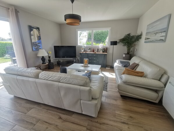 Televisio, kirjoja, stereot, tulostin